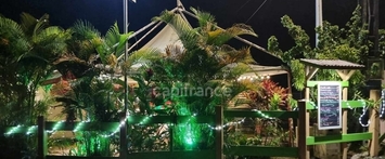 Vente - Restaurant - Sainte luce (97228)