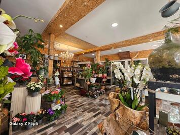 Vente - Fleuriste - Marne (51)-photo-4