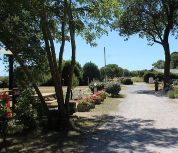 Vente - Camping - Meschers-sur-Gironde (17132)