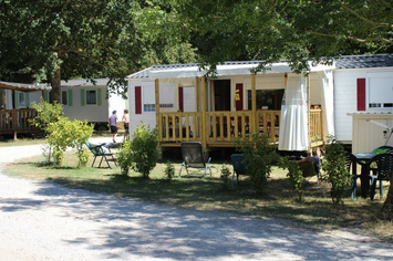 Vente - Camping - Meschers-sur-Gironde (17132)-photo-3