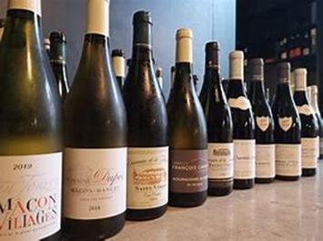 Vente - Cave à vins - Vins et spiritueux - Côte-d'Or (21)-photo-2