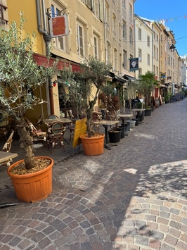 Vente - Restaurant - Nancy (54000)-photo-4