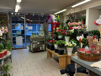 Vente - Fleuriste - Rouen (76100)