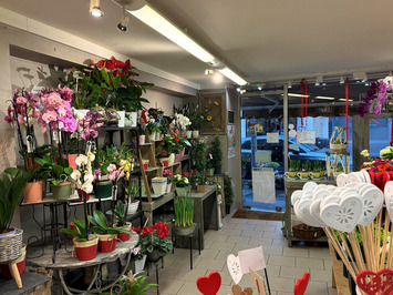 Vente - Fleuriste - Rouen (76100)-photo-2