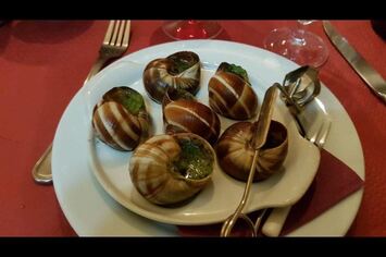 Vente - Bar - Restaurant - Licence IV - Dijon (21000)