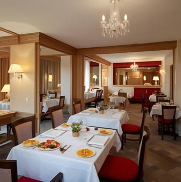 Vente - Hôtel - Restaurant - Limoux (11300)-photo-2