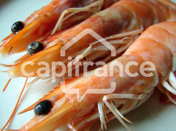 Vente - Poissonnerie - Pont-l'Abbé (29120)-photo-2