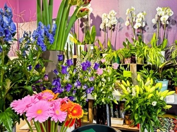Vente - Fleuriste - Colombes (92700)-photo-2