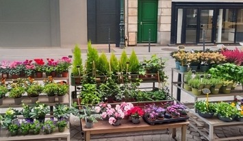 Vente - Fleuriste - Colombes (92700)-photo-4
