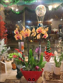 Vente - Fleuriste - Paris (75)-photo-3