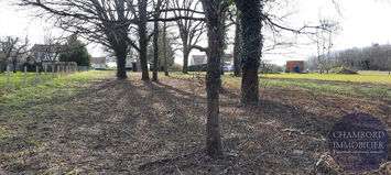 Vente Terrain ZI / ZA - Onzain (41150)-photo-3