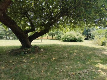 Vente Terrain ZI / ZA - Villebéon (77710)-photo-2