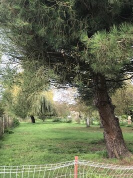 Vente Terrain ZI / ZA - Ardiège (31210)-photo-2