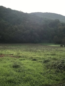 Vente Terrain ZI / ZA - Ardiège (31210)-photo-3