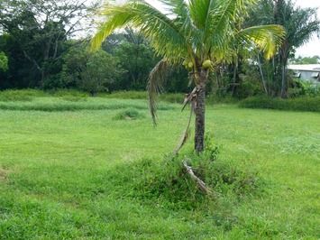 Vente Entrepôt / Local d'activités - Guyane (973)