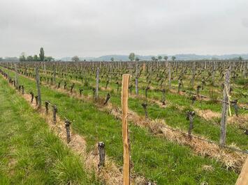 Vente Terrain ZI / ZA - Gironde (33)