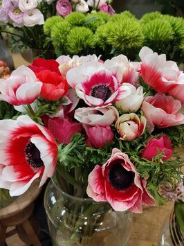 Vente - Fleuriste - Hauts-de-Seine (92)
