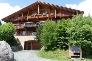 Location Local Commercial - Haute-Savoie (74)-photo-1