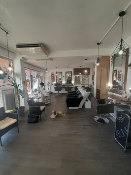 Vente - Salon de coiffure - Illkirch-Graffenstaden (67400)