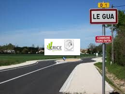 Location Entrepôt / Local d'activités - Charente-Maritime (17)-photo-3