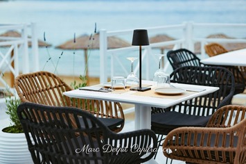 Vente - Bar - Restaurant - Leucate (11370)-photo-1