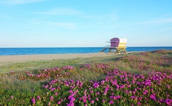 Vente - Bar - Restaurant - Leucate (11370)-photo-4