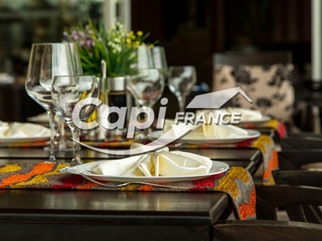 Vente - Restaurant - Pizzeria - Pralognan-la-Vanoise (73710)-photo-3