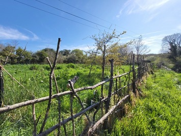Vente Entrepôt / Local d'activités - Finistère (29)-photo-3