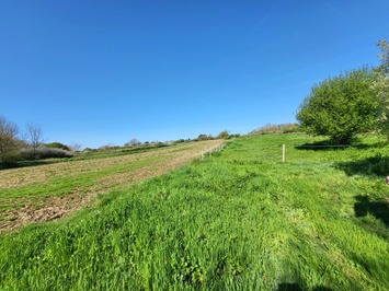 Vente Entrepôt / Local d'activités - Finistère (29)-photo-4