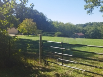 Vente - Gîte - Excideuil (24160)