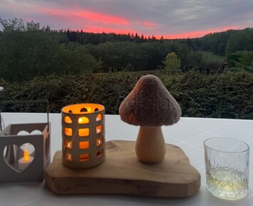 Vente - Gîte - Excideuil (24160)-photo-2