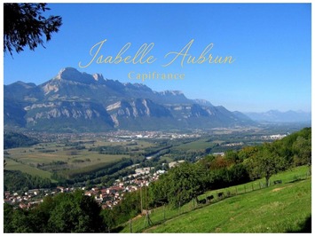 Vente - Garage - Isère (38)-photo-2