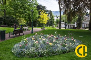 Vente - Brasserie - Restaurant - Pizzeria - Savoie (73)