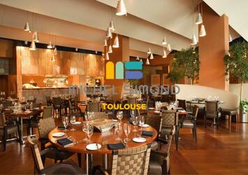 Vente - Restaurant - Restaurant du midi - Haute-Garonne (31)-photo-1