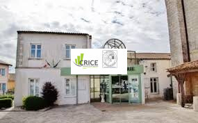 Location Local Commercial - Charente-Maritime (17)-photo-2