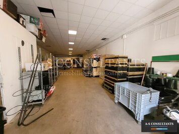 Vente Entrepôt / Local d'activités - Le mottier (38260)-photo-2