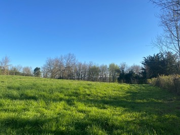 Vente Terrain ZI / ZA - Saint-Caprais-de-Bordeaux (33880)-photo-4