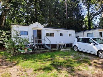 Vente - Restaurant - Camping - Service à la personne - Corrèze (19)-photo-3