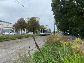 Location Local Commercial - Loire-Atlantique (44)-photo-4