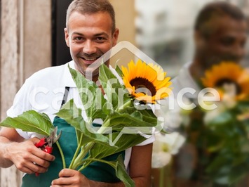 Vente - Fleuriste - Toulouse (31000)-photo-2