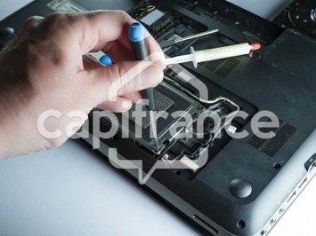 Vente - Jardinerie - Angers (49100)