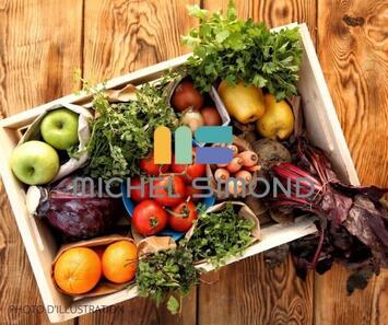 Vente - Fruits et légumes - Bouches-du-Rhône (13)