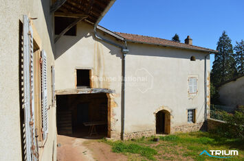 Vente Bureau - Saint-Etienne-la-Varenne (69460)-photo-3