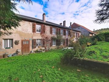 Vente - Chocolaterie Chocolatier - Vosges (88)