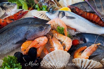 Vente - Restaurant - Poissonnerie - Canet-en-Roussillon (66140)-photo-3