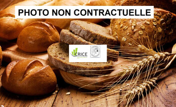 Vente - Boulangerie - Pâtisserie - Chocolaterie Chocolatier - Charente-Maritime (17)