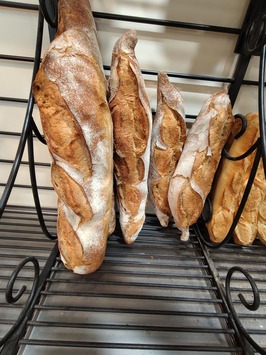 Vente - Boulangerie - Pâtisserie - Rochefort (17300)-photo-2