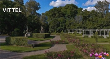 Vente - Restaurant - Vittel (88800)