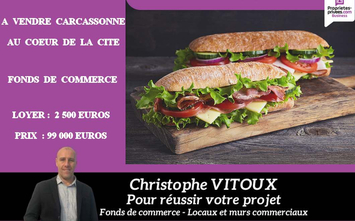 Vente - Restaurant - Restaurant rapide - Snack - Aude (11)