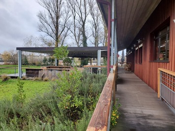 Vente - Brasserie - Restaurant - Bordeaux-photo-2